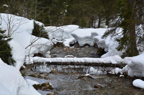 Alain Burde : Torrent en hiver La Leze Suisse