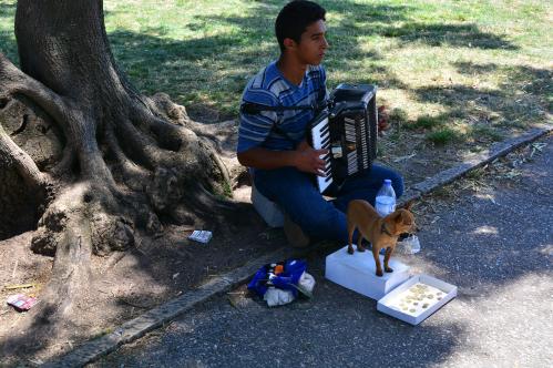 Alain Burde : Joueur avec son chien